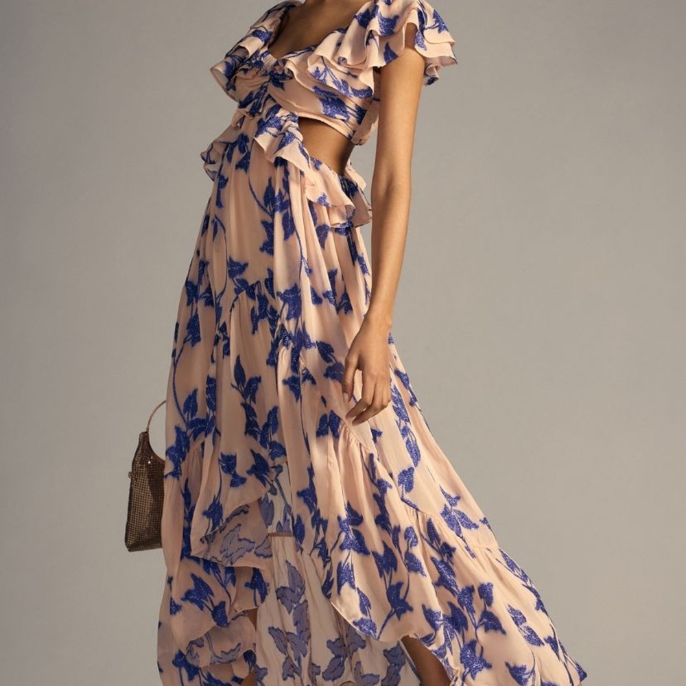 NWT Anthropologie Dress Size Large